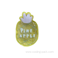 4 pineapple ice pack set